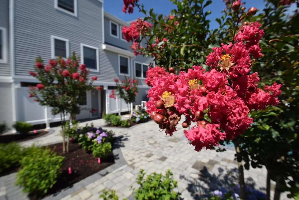 Harvey Cedars Oceanside (43)